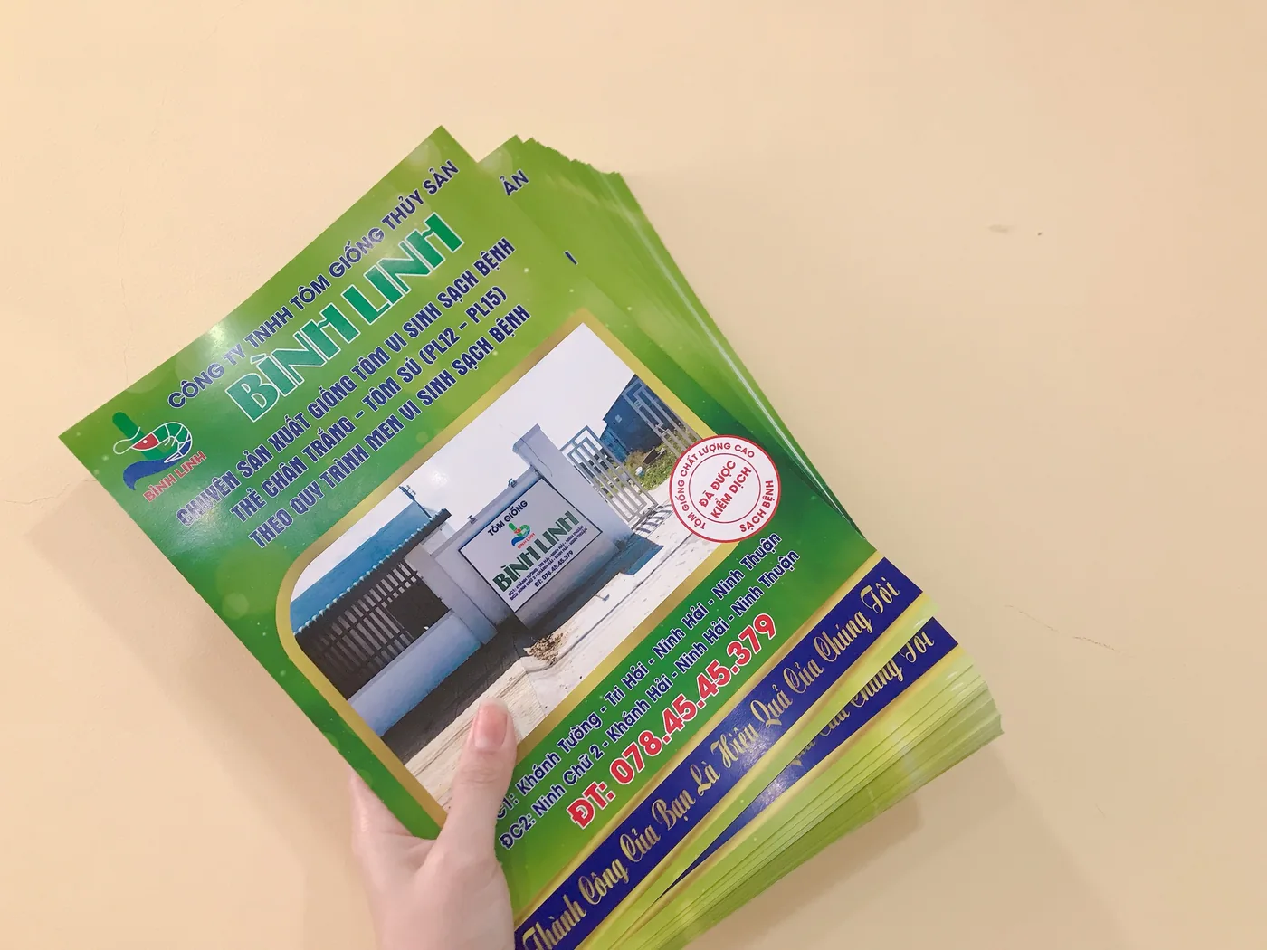 Các tờ rơi quảng cáo in màu trên giấy được cầm trên nền sáng